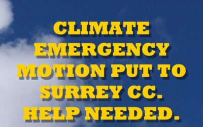 Surrey County Council To Debate Climate Emergency Motion 19th March