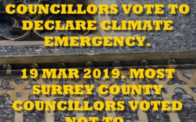 NEWS – Suffolk County Council Declares Climate Emergency