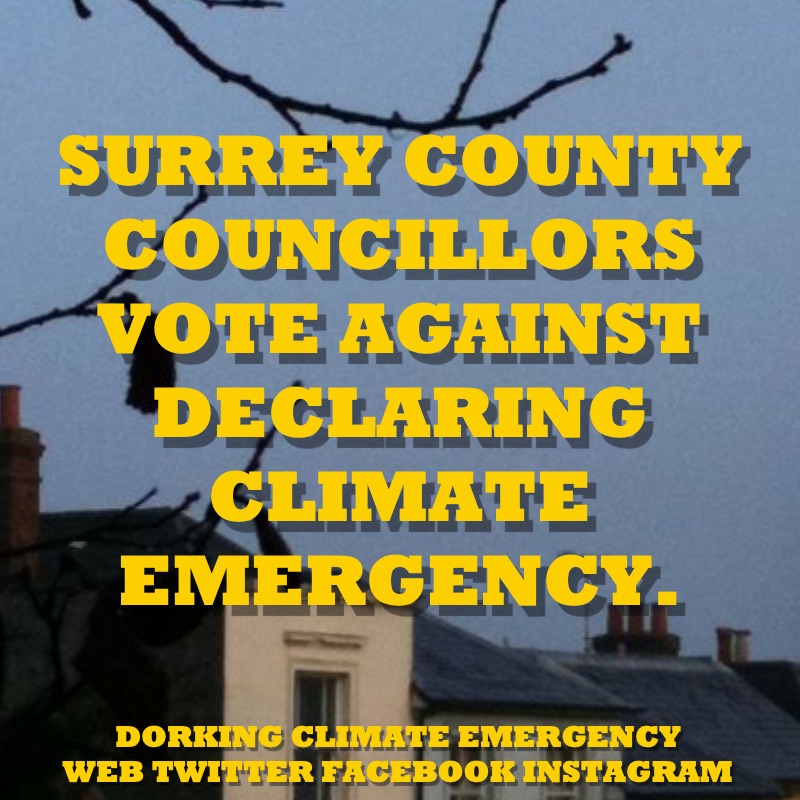 surrey councillors vote against climate emergency