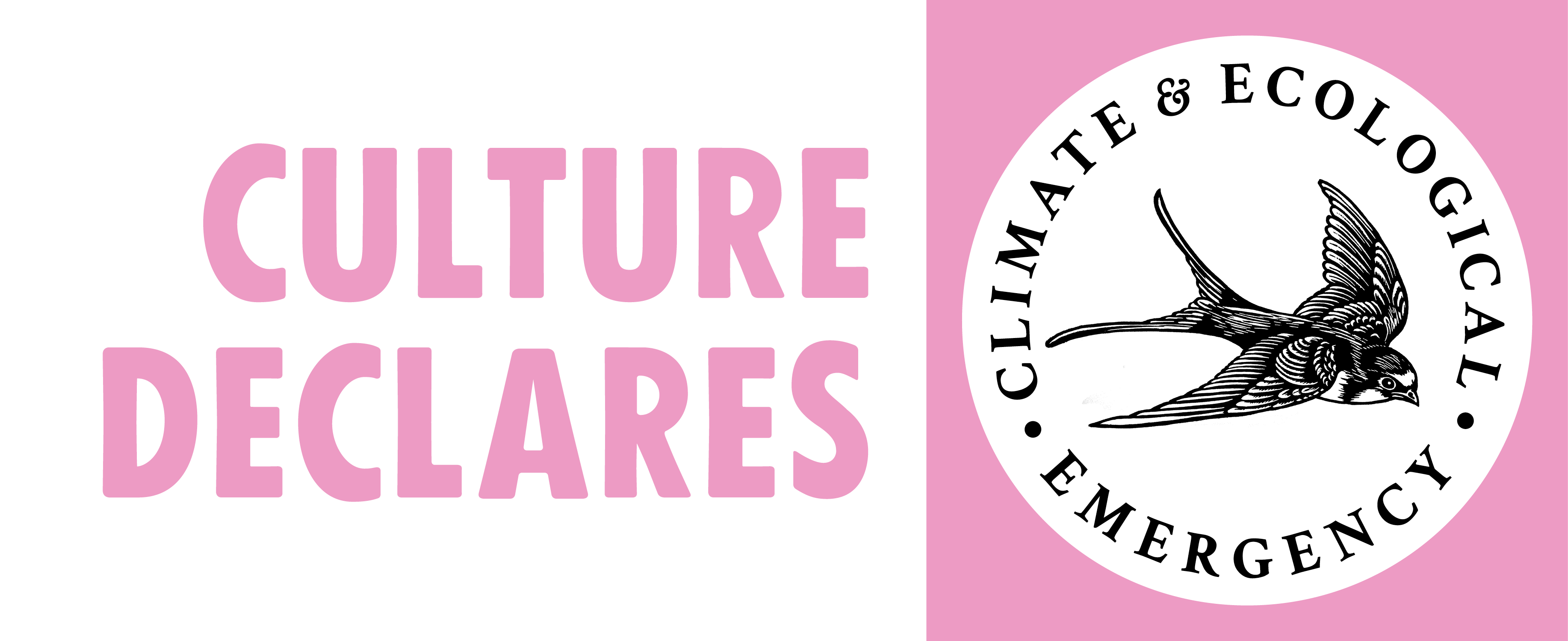 CultureDeclaresKite-HORIZ-PINK-LRG