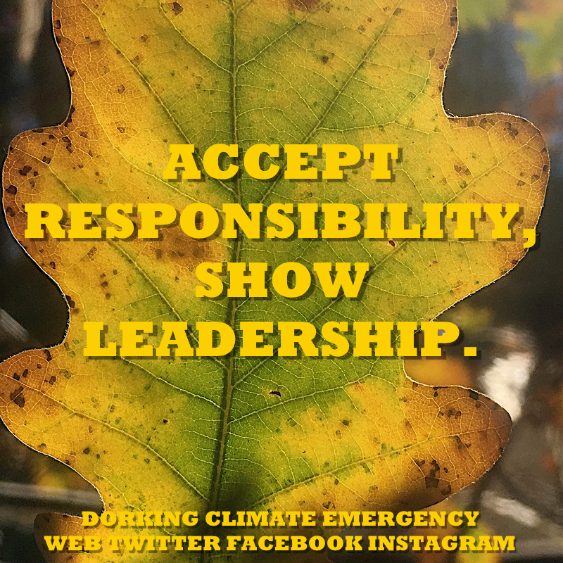 accept responsibilty show leadership