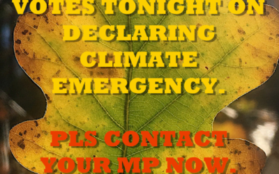 ACTION – Parliament To Vote Tonight on Declaring Climate Emergency, Contact Your MP