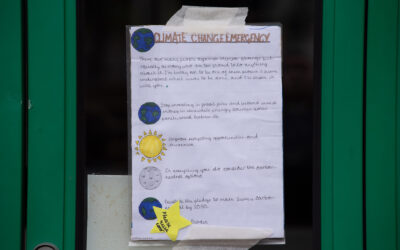 NEWS – Dorking Primary School Kids Band Together For Climate Protest