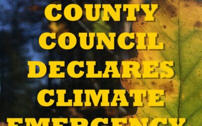 MAJOR NEWS – Surrey County Council Declares Climate Emergency