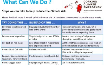 UPDATE – January 2020 Climate Café Discussion Feedback – What Can We Do?