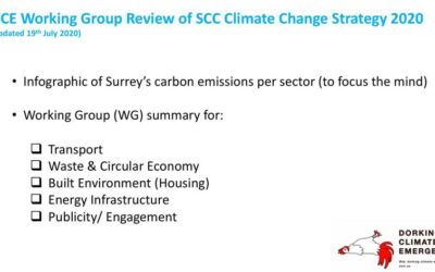 Dorking Climate Emergency Working Group response to Surrey County Council’s Climate Change Action Plan