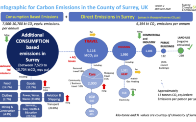 Infographic: Visualising Surrey’s Carbon Emissions