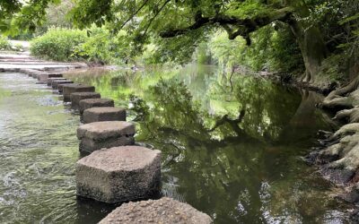 Your River