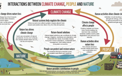 Biodiversity Matters